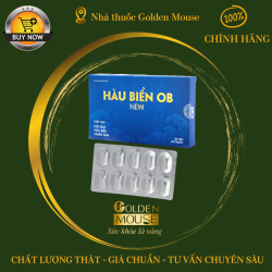 HÀU BIỂN OB NEW