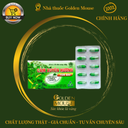 CẢM XUYÊN HƯƠNG YÊN BÁI