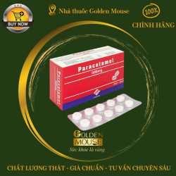 PARACETAMOL  VIDIPHA 500MG