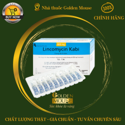 LINCOMYCIN KABI