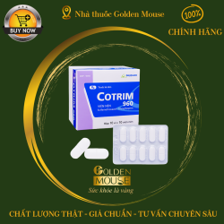 pms-COTRIM 960MG