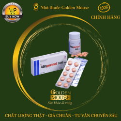 ALLOPURINOL 300mg Domesco