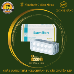 BAMIFEN