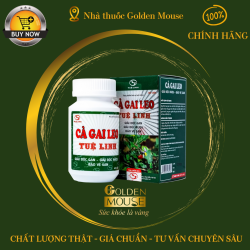 CÀ GAI LEO TUỆ LINH