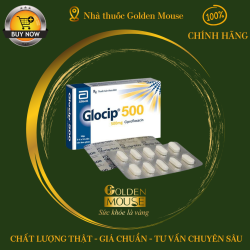 GLOCIP 500MG