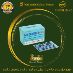 LINCOMYCIN MKP 500MG