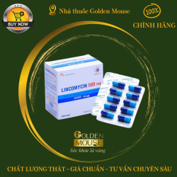 LINCOMYCIN DMC 500MG