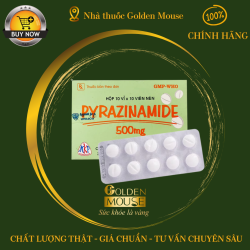 PYRAZINAMIDE MKP 500MG