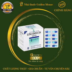 LINCOMYCIN VIDI 500MG