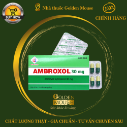 AMBROXOL 30MG DOMESCO