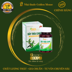 DÂY THÌA CANH KIÊN MINH