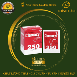 CLAMOXYL 250MG