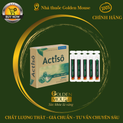 CAO ACTISO