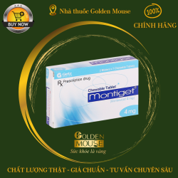 MONTIGET 4MG