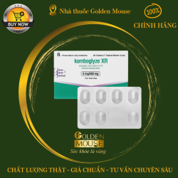 KOMBIGLYZE XR 5/500MG