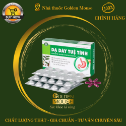DẠ DÀY TUỆ TĨNH