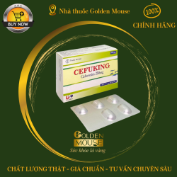 CEFUKING 250MG