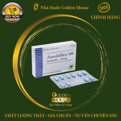 AMEDOLFEN 100MG