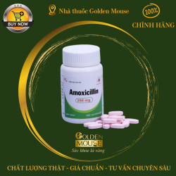 AMOXICILLIN DOMESCO 250MG