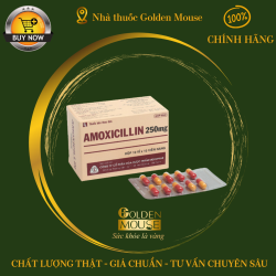 AMOXICILLIN MEKOPHAR 250MG
