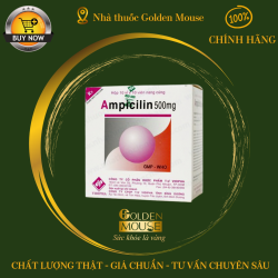 AMPICILIN VIDIPHA 500MG