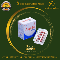 AMPICILLIN DOMESCO 500MG