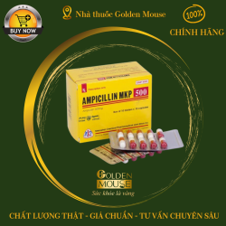 AMPICILLIN MEKOPHAR 500MG