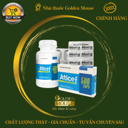 ATICEF 500MG