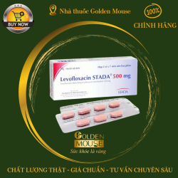LEVOFLOXACIN STADA 500MG