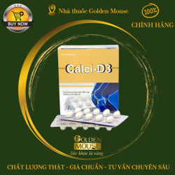 CALCI D3 BOSTON
