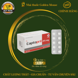 CAPTOPRIL DMC 25MG
