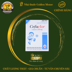 CEFACLOR DOMESCO 250MG (GÓI)