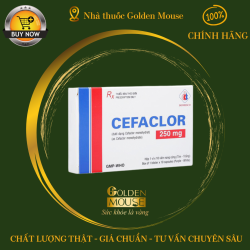 CEFACLOR DOMESCO 250MG (VIÊN)