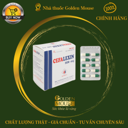 CEFALEXIN DMC 500MG
