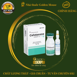 CEFOTAXONE 1G