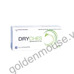 DRYCHES