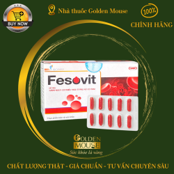 FESOVIT