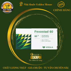 FEXOSTAD 60