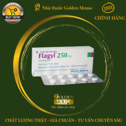FLAGYL 250MG