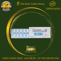 FOSMICIN 500MG