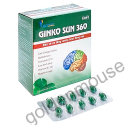 GINKO SUN 360