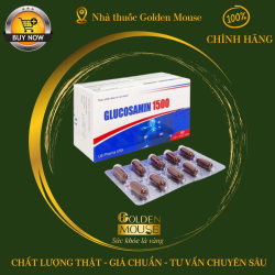GLUCOSAMIN 1500 US PHARMA