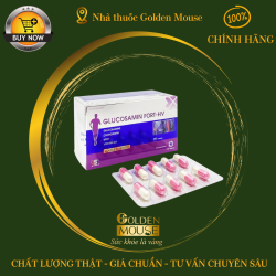 GLUCOSAMIN FORT-HV