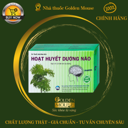 HOẠT HUYẾT DƯỠNG NÃO PHÚC VINH
