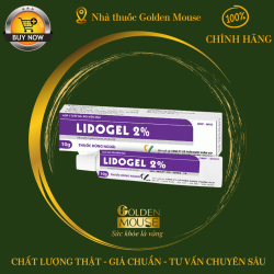 Lidogel 2% VCP 10g - Gel bôi niêm mạc
