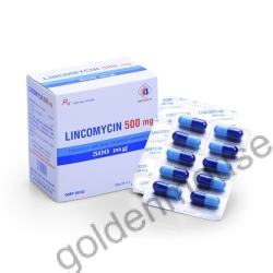 LINCOMYCIN DMC 500MG