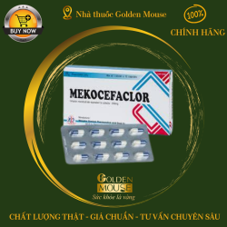 MEKOCEFACLOR 250MG