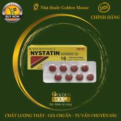 NYSTATIN 500000IU MEKOPHAR