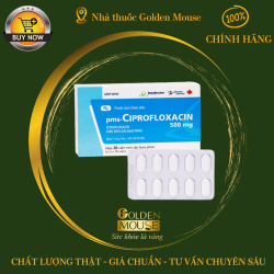 PMS CIPROFLOXACIN 500MG