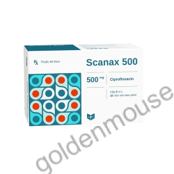 SCANAX 500
